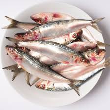 Sardine