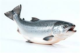 Fresh Atlantic Salmon Fillet