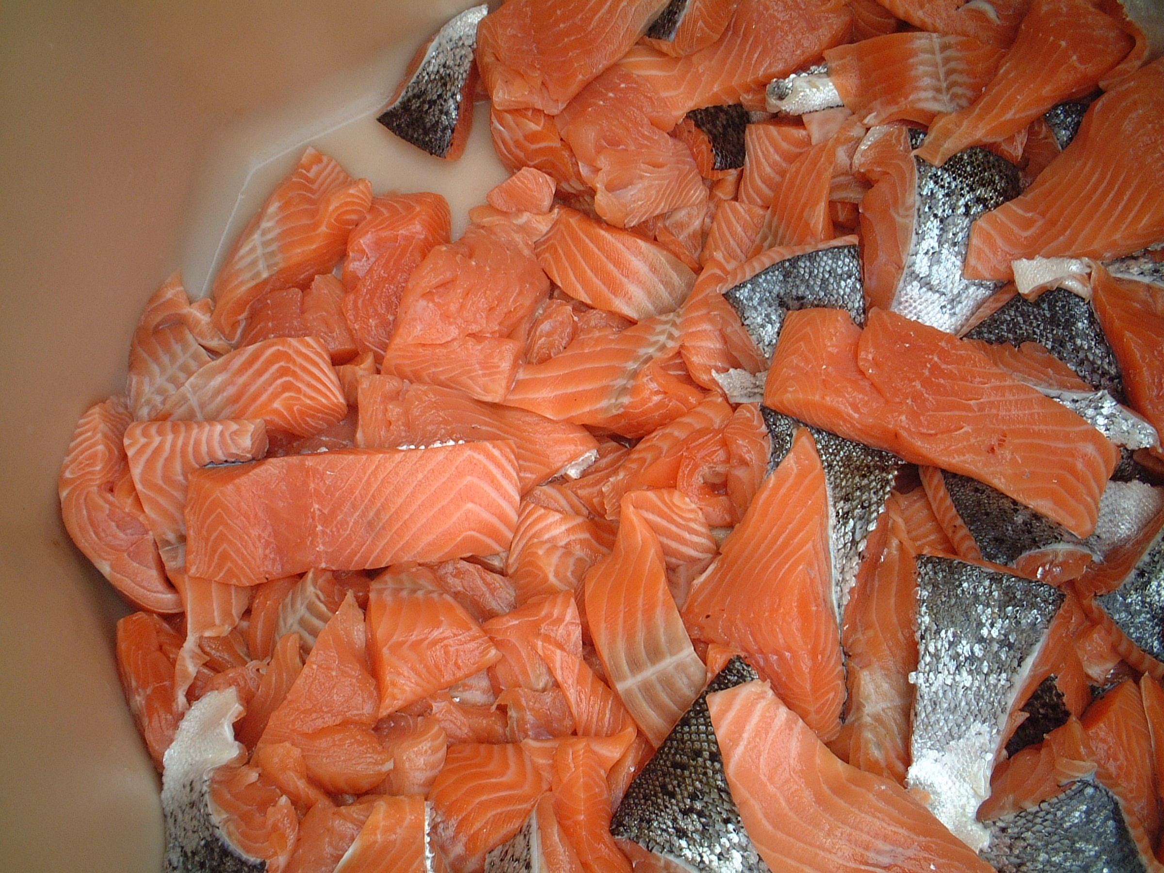 Atlantic Salmon Y portions