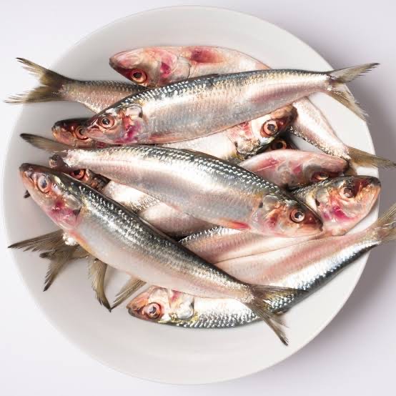 Sardines